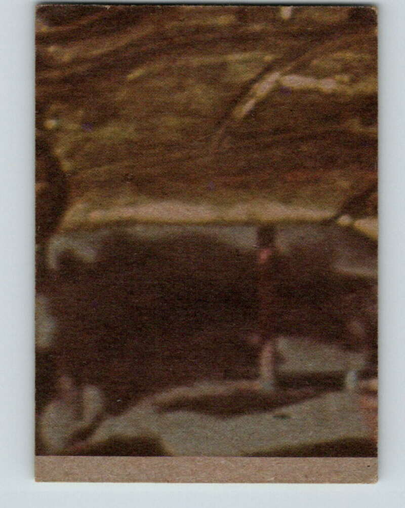 1977 Topps Star Wars #192 Liberated Princess! V34678