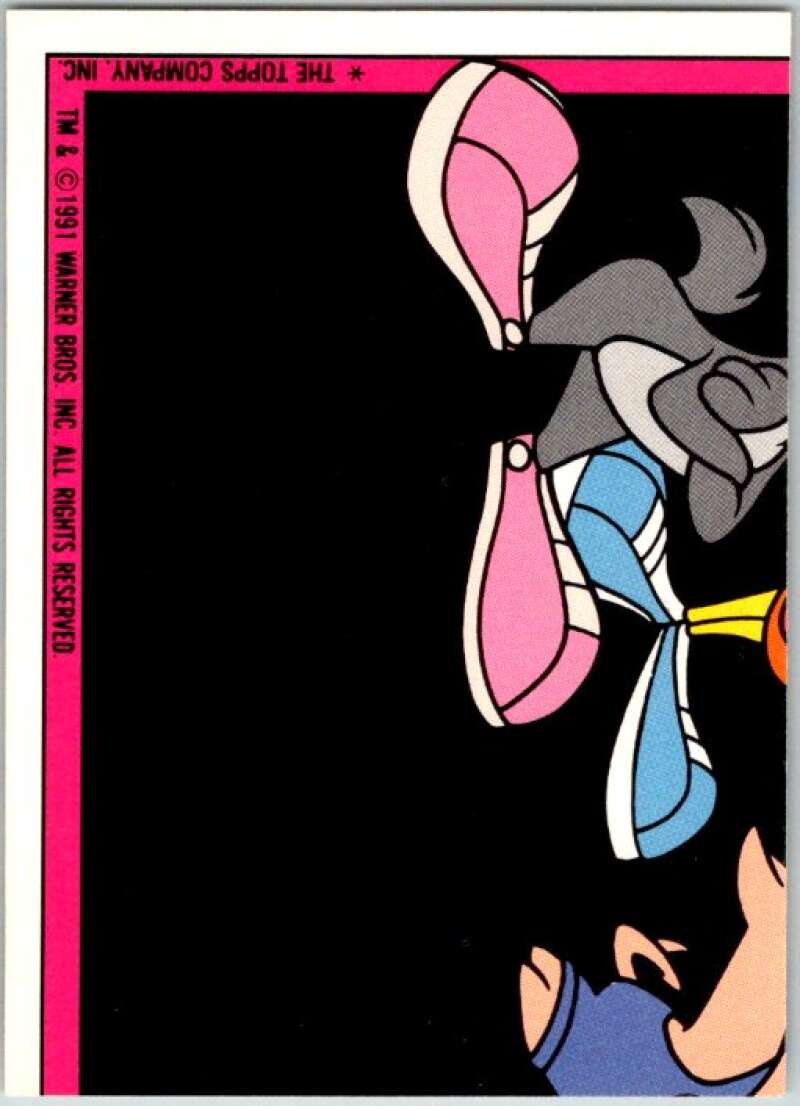 1991 Tiny Toon Adventure Sticker #5 Hamton V36243