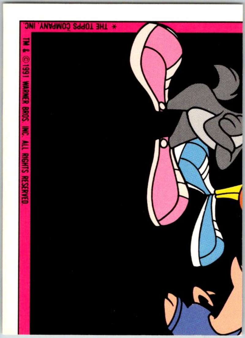 1991 Tiny Toon Adventure Sticker #5 Hamton V36244