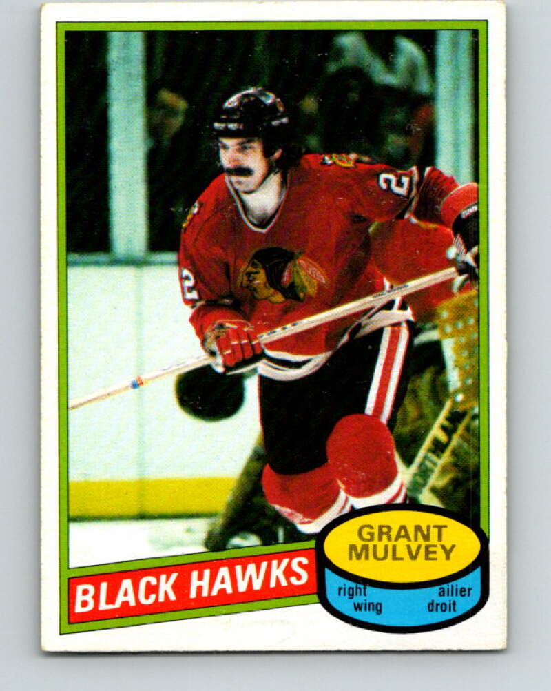 1980-81 O-Pee-Chee #312 Harold Snepsts Vancouver Canucks V40263