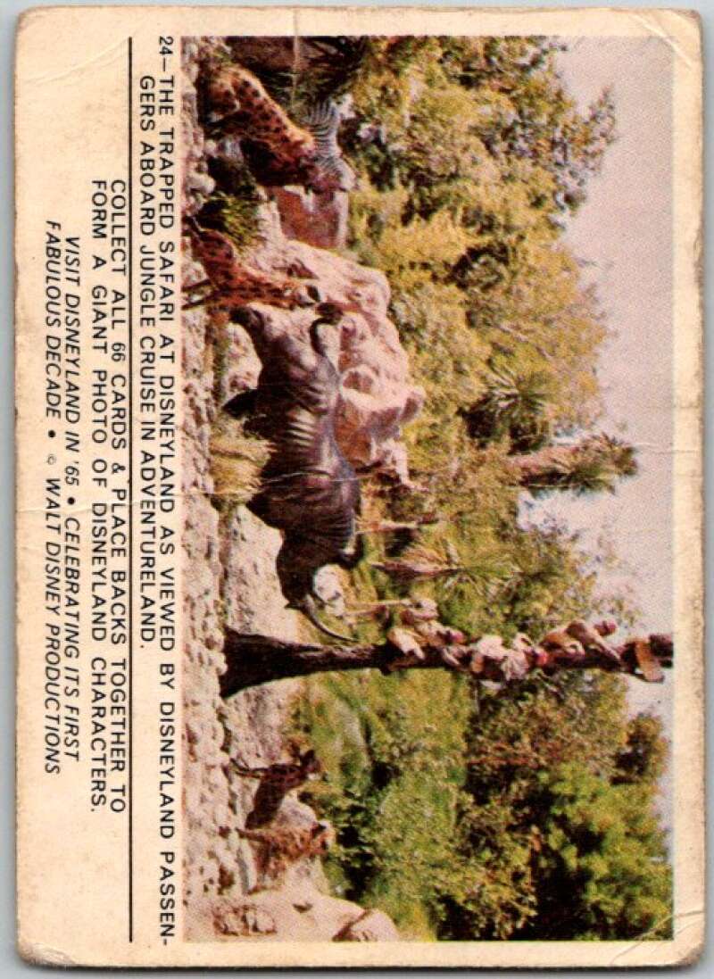1965 Disneyland #24 The Trapped Safari at Disneyland V44215