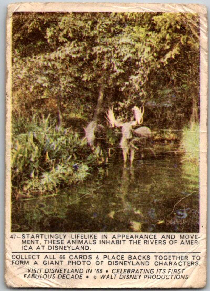 1965 Disneyland #47 Startlingly Lifelike V44216