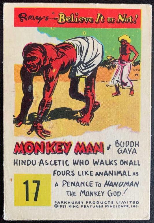 1953 Ripley's Believe It or Not #17 Monkey Man  V44222