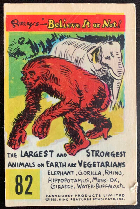 1953 Ripley's Believe It or Not #82 The Largest and Strongest Animals  V44229