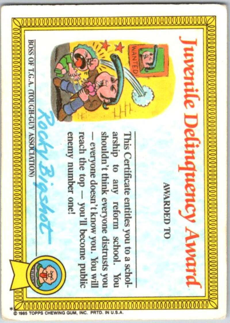 1985 Topps Garbage Pail Kids Series 1 #7a Stormy Heather V44322