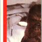 1980 Topps The Empire Strikes Back Stickers #11 E O   V45365