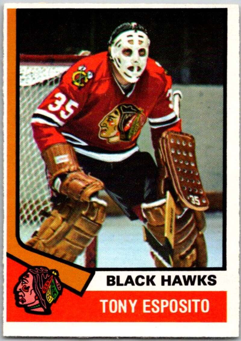 1974-75 O-Pee-Chee #170 Tony Esposito Chicago Blackhawks V46285