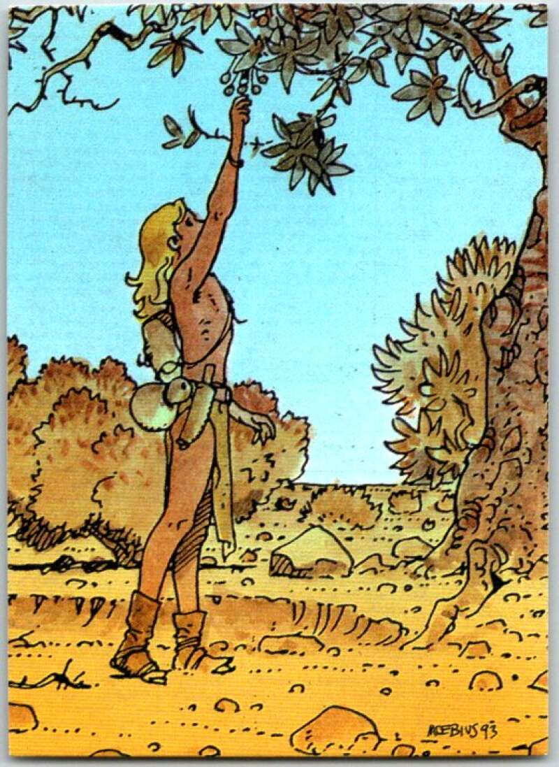 1993 Moebius Comic #86. The Gardens Of Aedena V48222