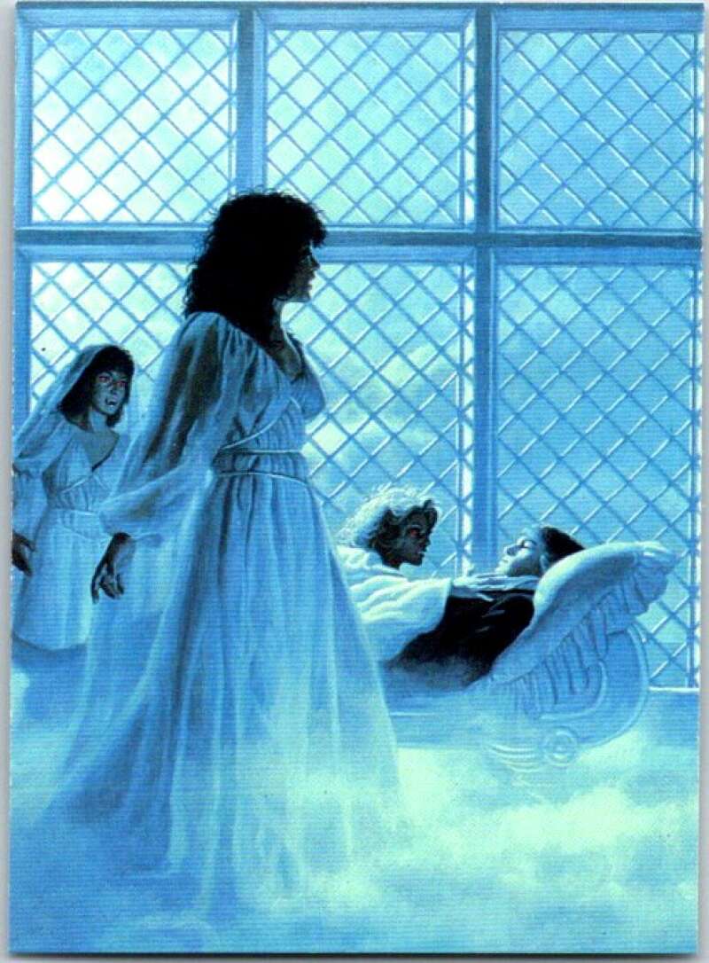 1992 Greg Hildebrandt Comic # 27. Dracula: The Vampiress 1985 V48400