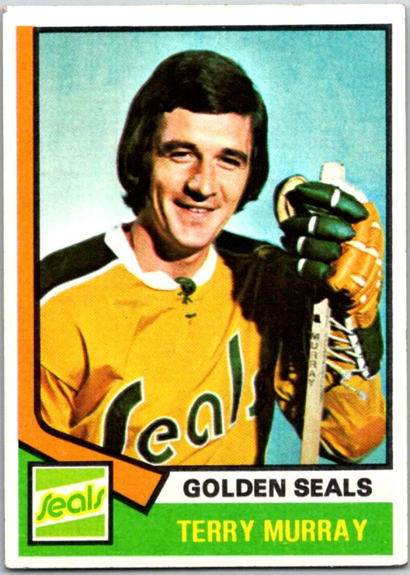 1974-75 Topps #126 Terry Murray California Golden Seals V49013