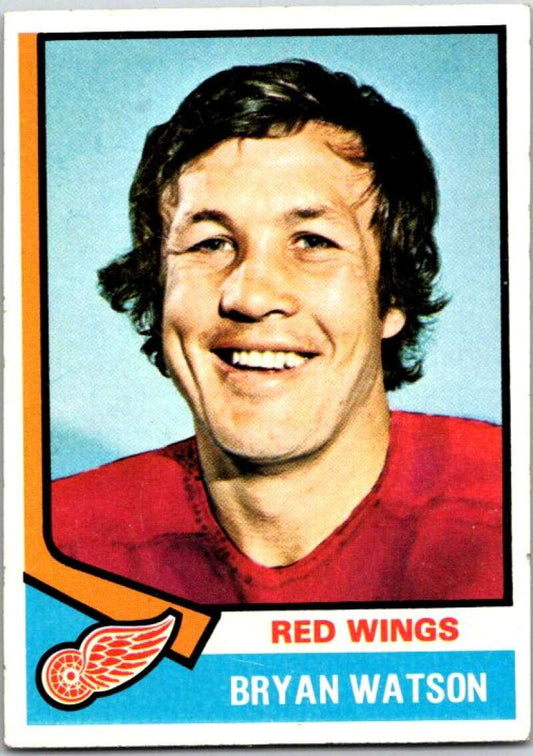 1974-75 Topps #259 Bryan Watson  Detroit Red Wings  V49040