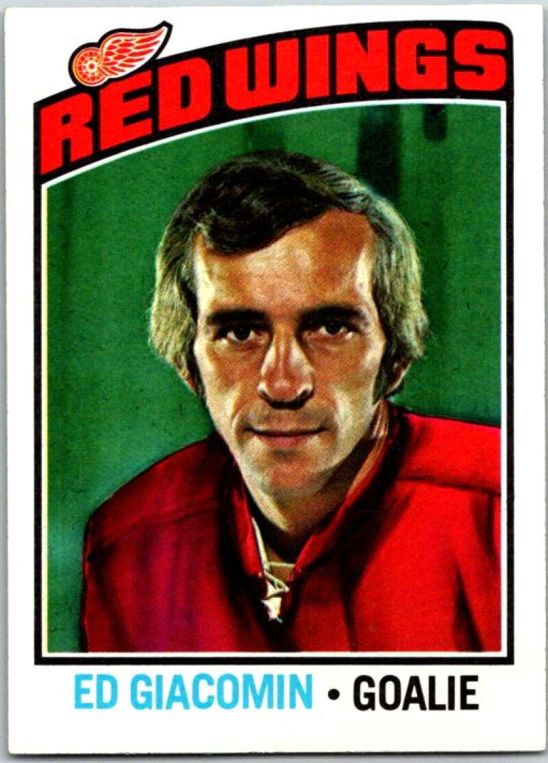 1976-77 Topps #160 Ed Giacomin Detroit Red Wings V49205