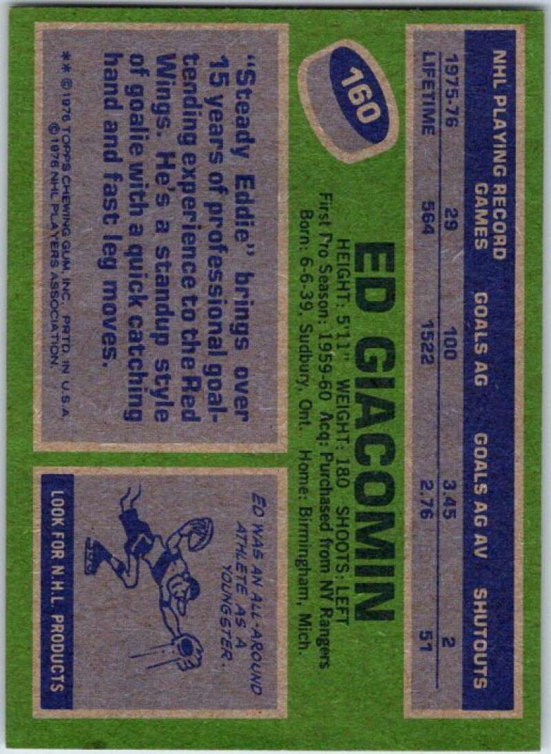1976-77 Topps #160 Ed Giacomin Detroit Red Wings V49205
