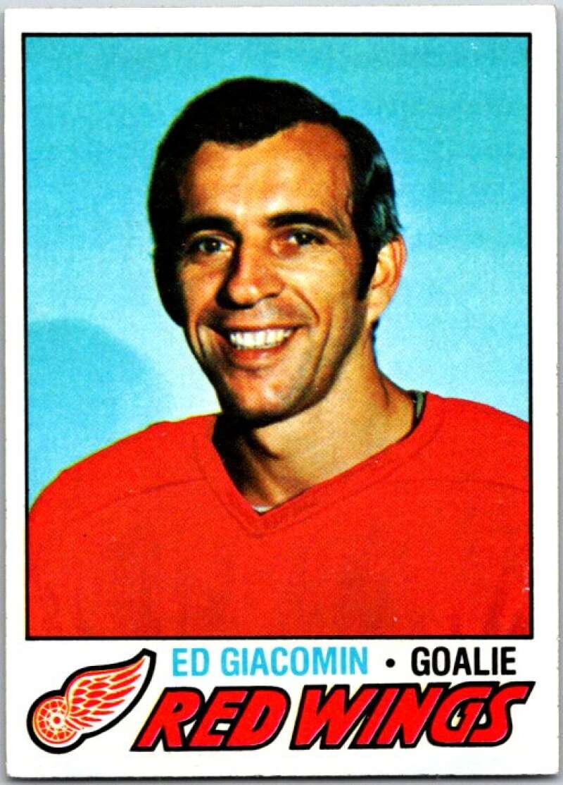 1977-78 Topps #70 Ed Giacomin Detroit Red Wings V49283