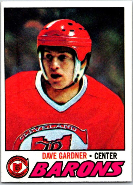 1977-78 Topps #258 Dave Gardner   V49401