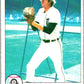 1979 OPC Baseball #329 Mark Fidrych  Detroit Tigers  V50530 Image 1