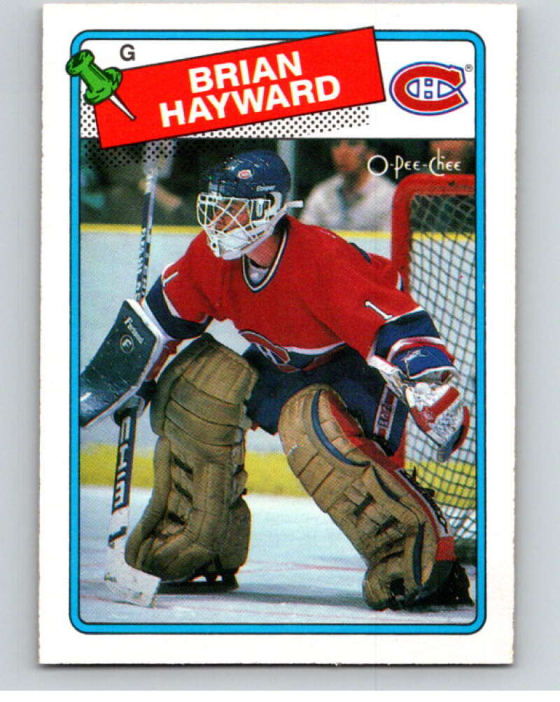 1988-89 O-Pee-Chee #195 Brian Hayward Montreal Canadiens V53637 Image 1