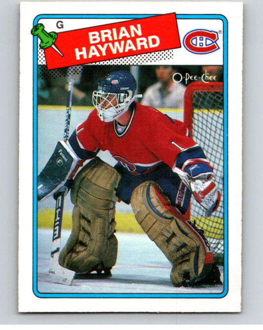 1988-89 O-Pee-Chee #195 Brian Hayward  Montreal Canadiens  V53637 Image 1