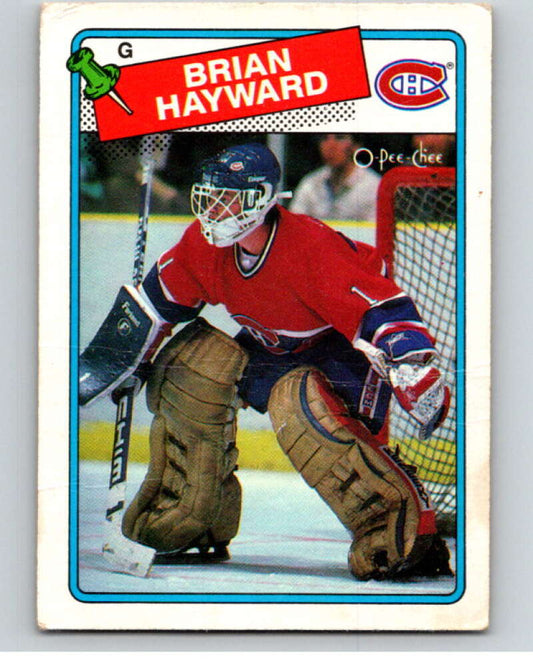 1988-89 O-Pee-Chee #195 Brian Hayward  Montreal Canadiens  V53638 Image 1