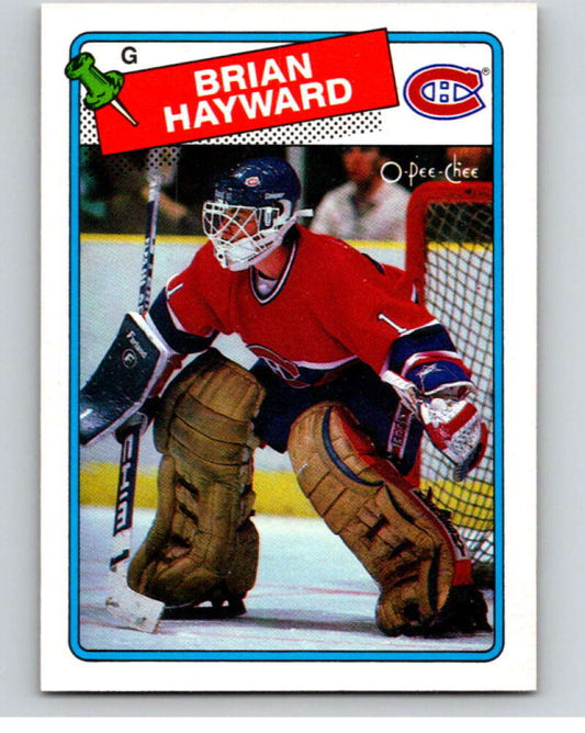 1988-89 O-Pee-Chee #195 Brian Hayward  Montreal Canadiens  V53640 Image 1