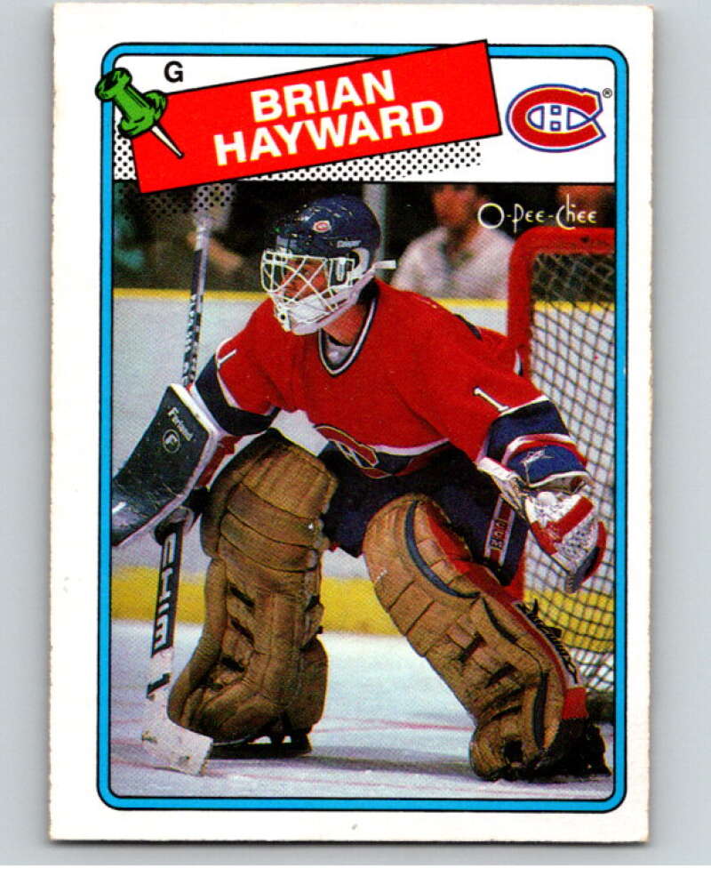 1988-89 O-Pee-Chee #195 Brian Hayward Montreal Canadiens V53641 Image 1