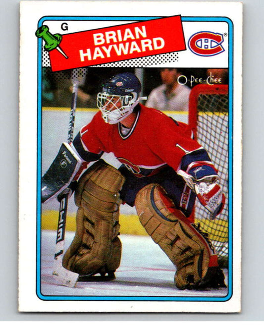 1988-89 O-Pee-Chee #195 Brian Hayward  Montreal Canadiens  V53641 Image 1