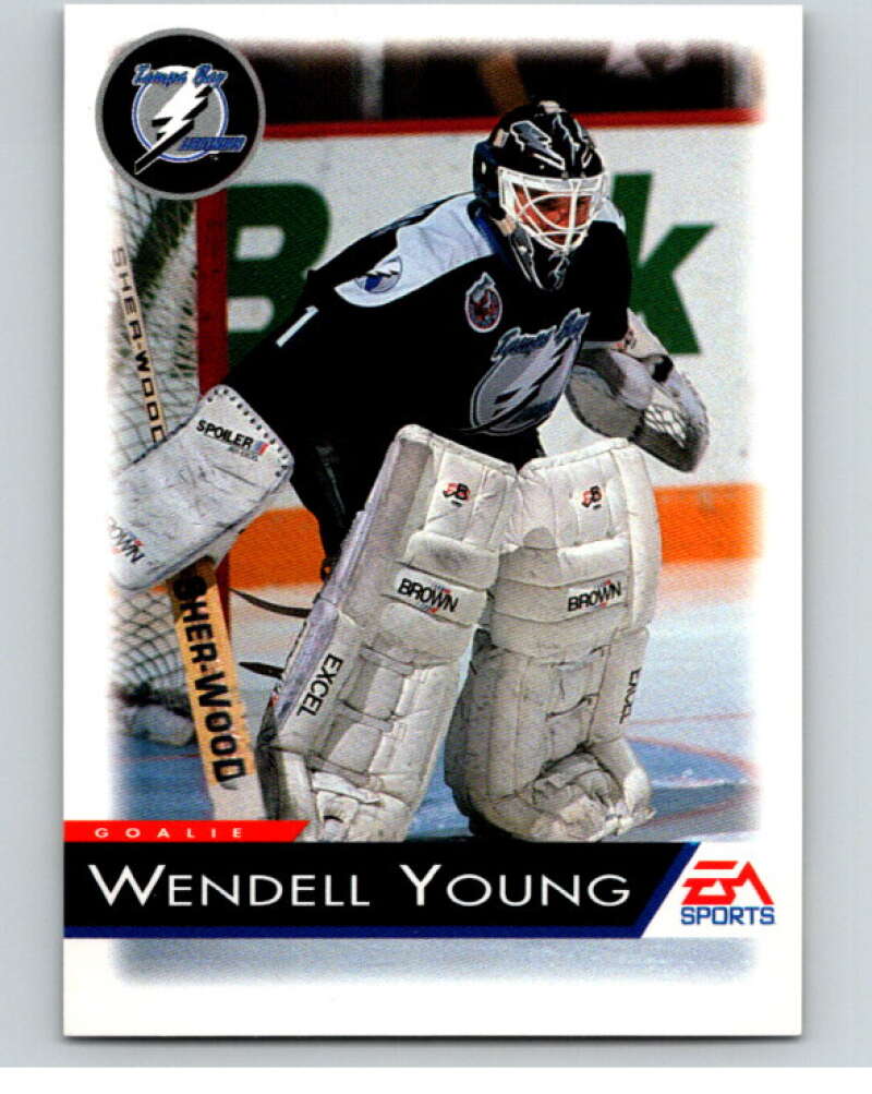 1994 EA Sports Hockey NHLPA '94 #132 Wendell Young V55242 Image 1