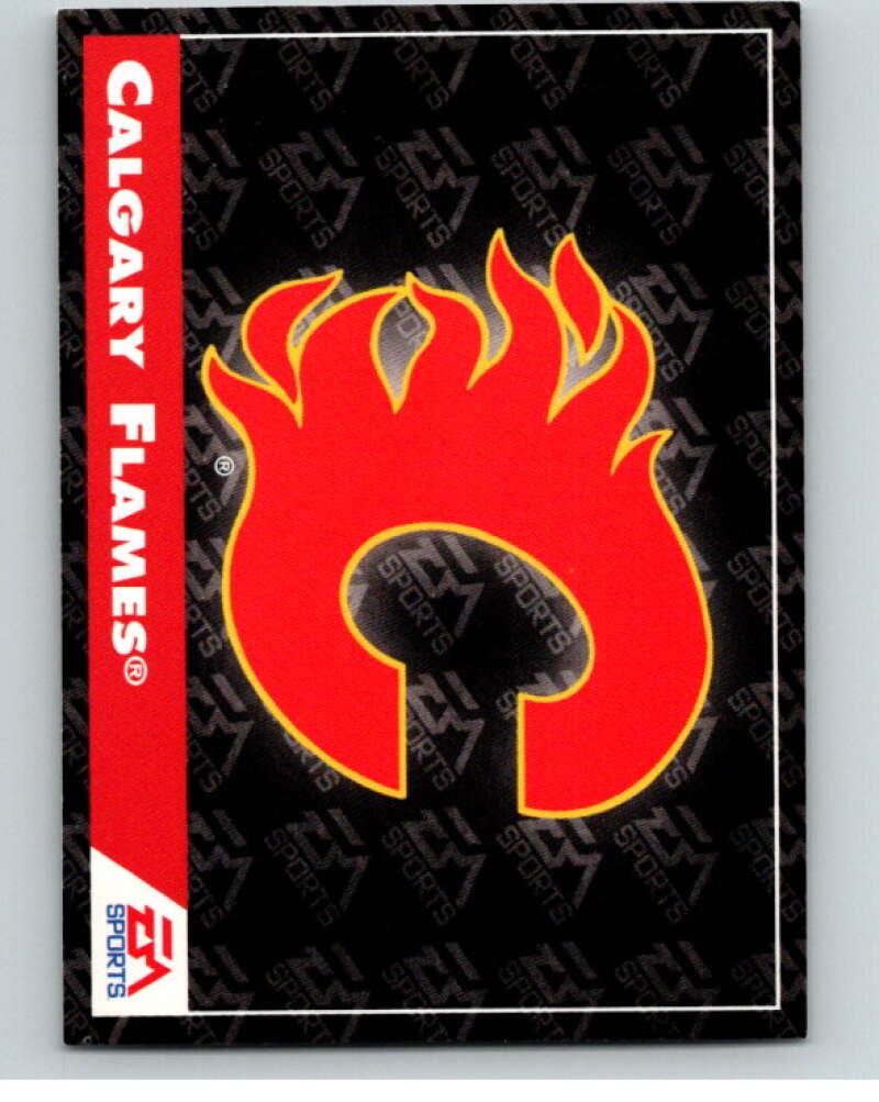 1994 EA Sports Hockey NHLPA '94 #162 Calgary Flames V55264 Image 1
