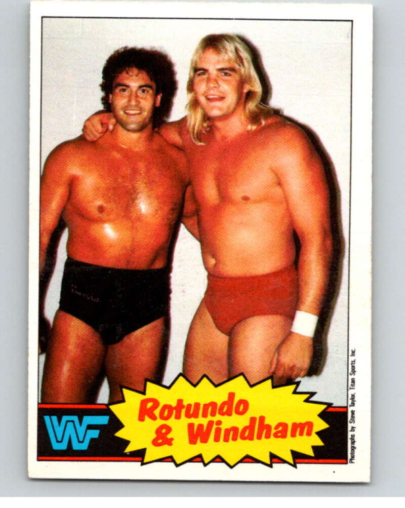 1985 O-Pee-Chee WWF #18 Rotundo & Windham V65709 Image 1