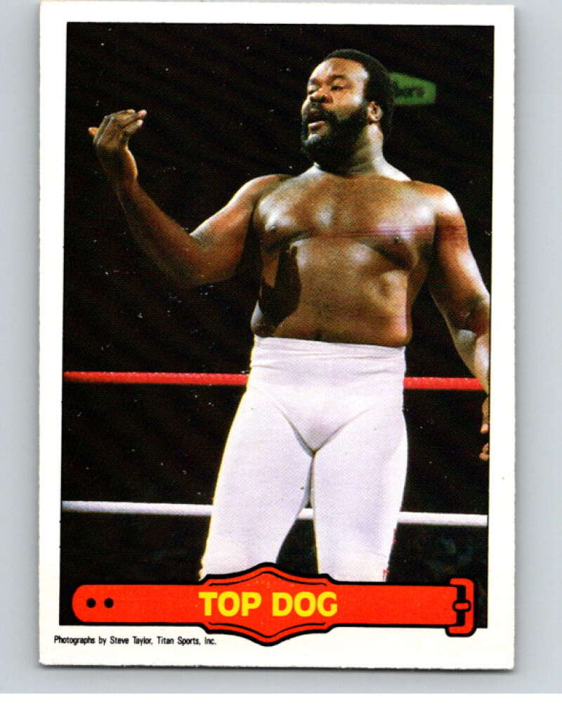 1985 O-Pee-Chee WWF Series 2 #27 Top Dog V65862 Image 1