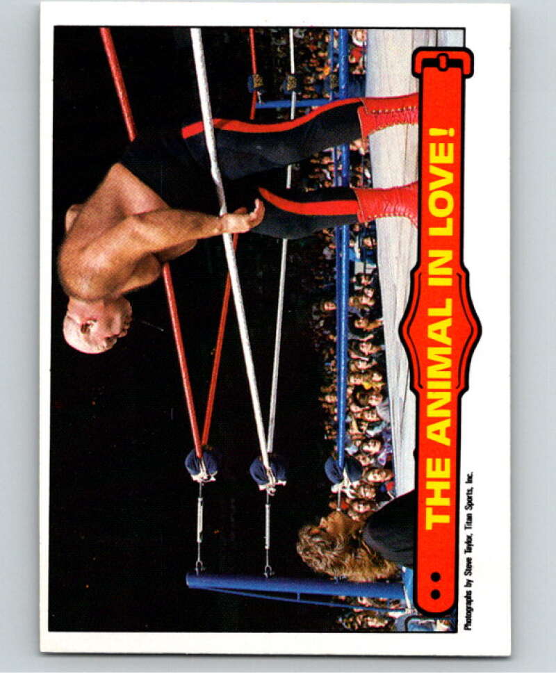 1985 O-Pee-Chee WWF Series 2 #60 The Animal In Love! V65977 Image 1