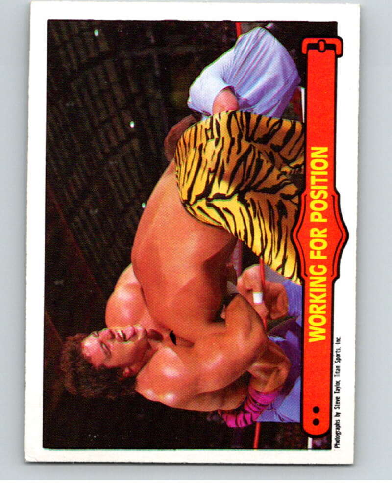 1985 O-Pee-Chee WWF Series 2 #74 Working For A Position V66010 Image 1