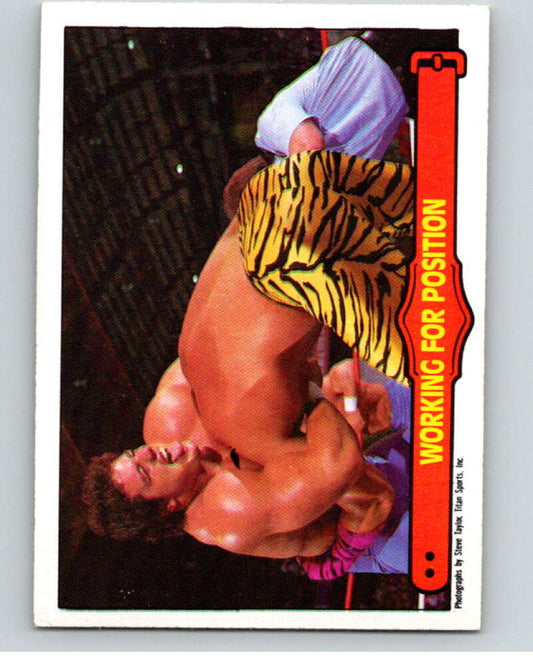 1985 O-Pee-Chee WWF Series 2 #74 Working For A Position   V66010 Image 1