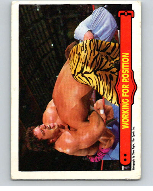 1985 O-Pee-Chee WWF Series 2 #74 Working For A Position   V66011 Image 1