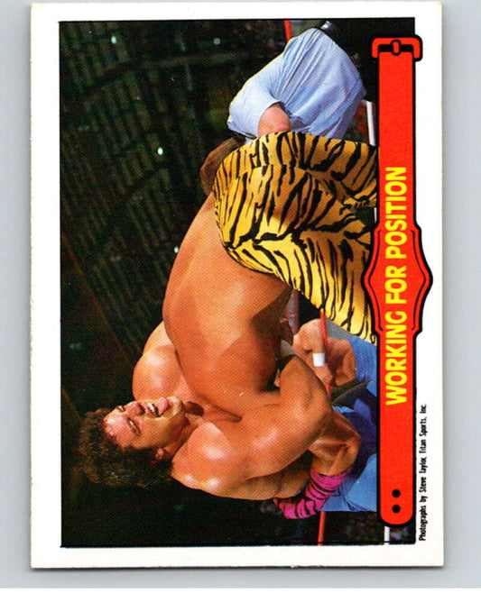1985 O-Pee-Chee WWF Series 2 #74 Working For A Position   V66012 Image 1