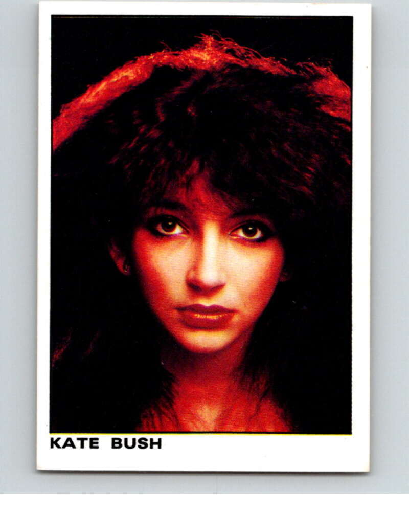 1980 Rock and Pop Collection Album Stickers #11 Kate Bush V67996 Image 1