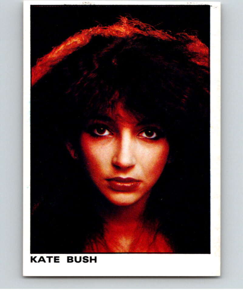 1980 Rock and Pop Collection Album Stickers #11 Kate Bush V67997 Image 1