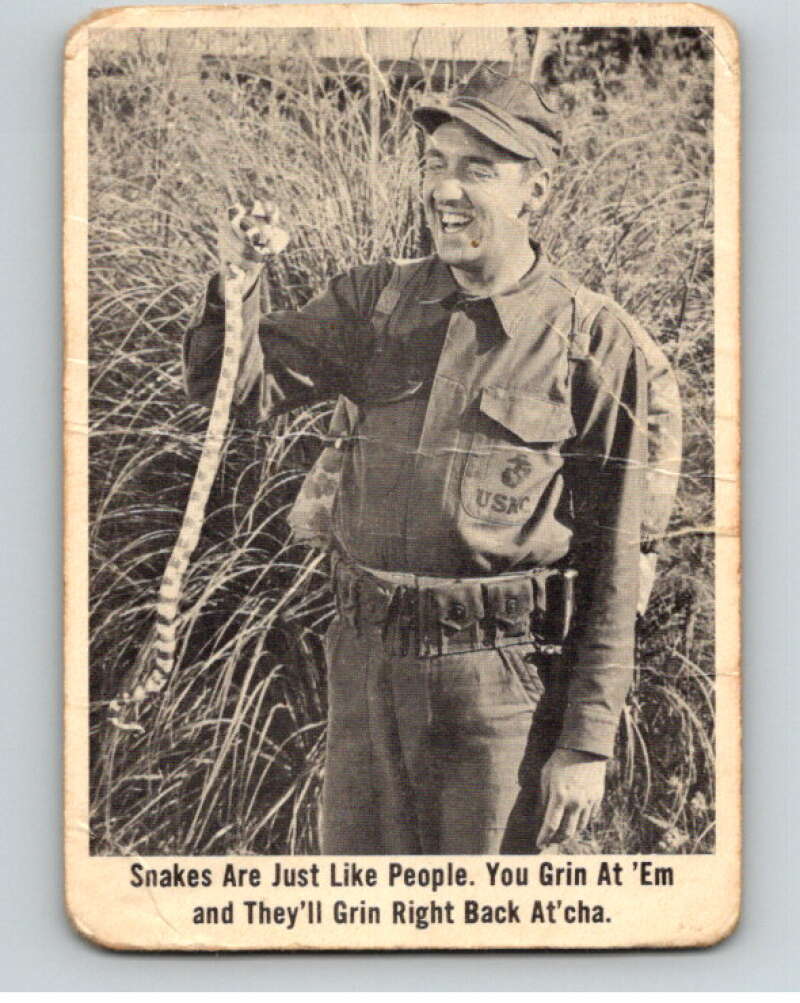 1965 Fleer Gomer Pyle #47 Snakes are just like people. V68338 Image 1