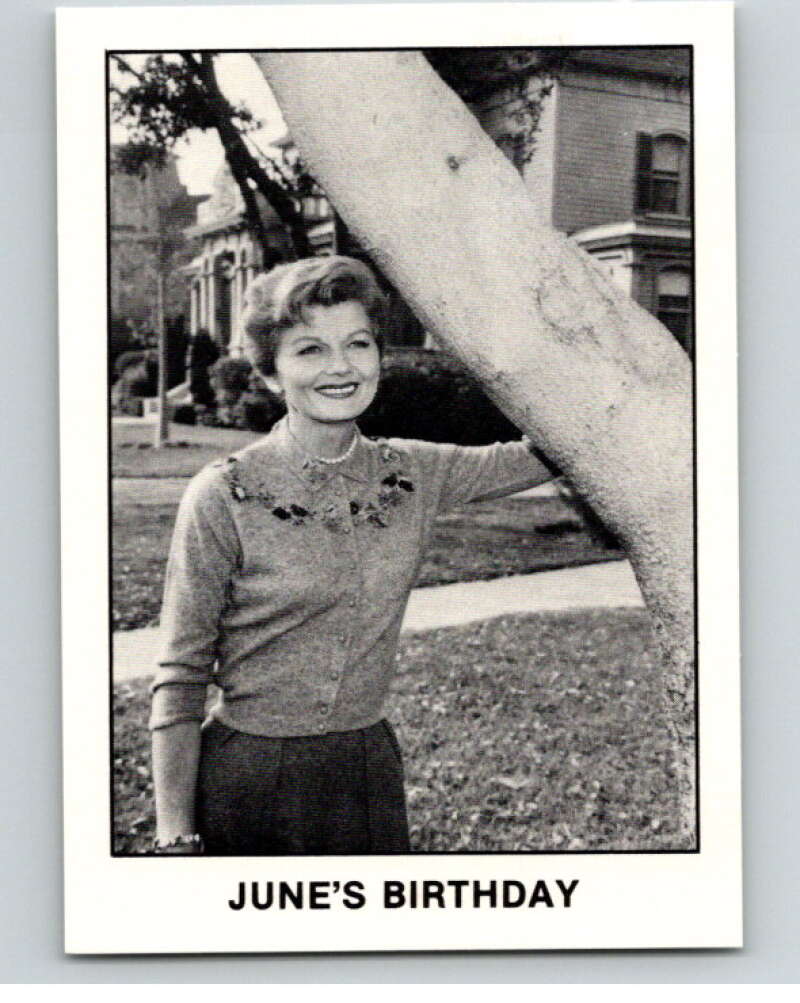 1983 Leave It to Beaver #19 June's Birthday V68724 Image 1
