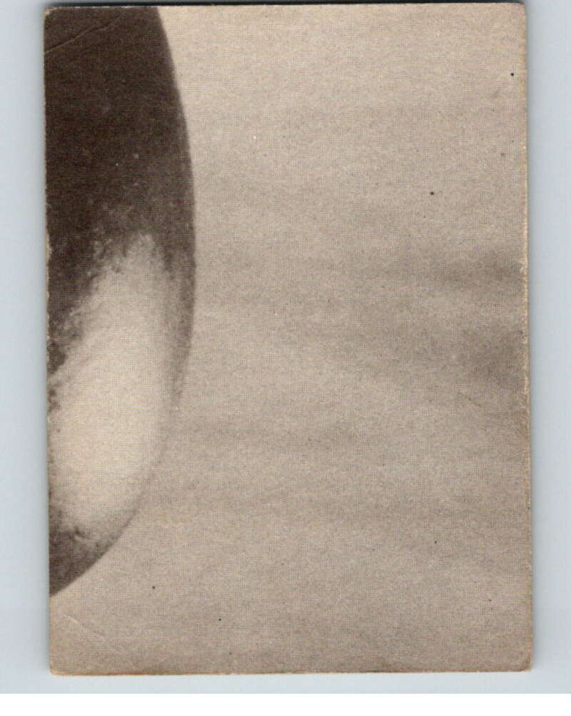 1965 Fleer Hogan's Heroes #65 I've gained twenty pounds.. V69937 Image 2