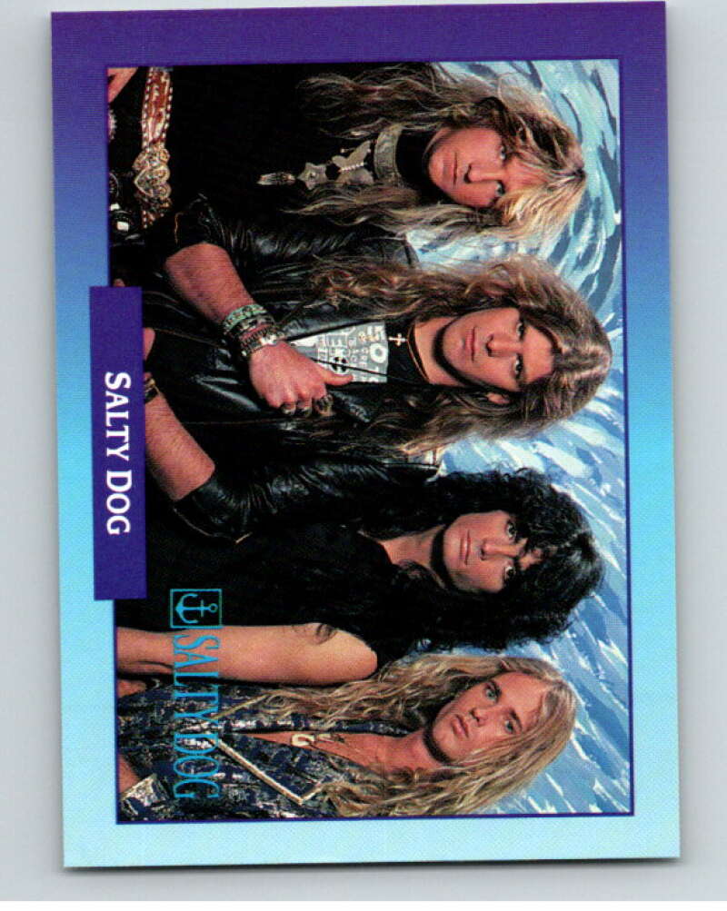1991 Brockum Rock Cards #264 Salty Dog V70751 Image 1