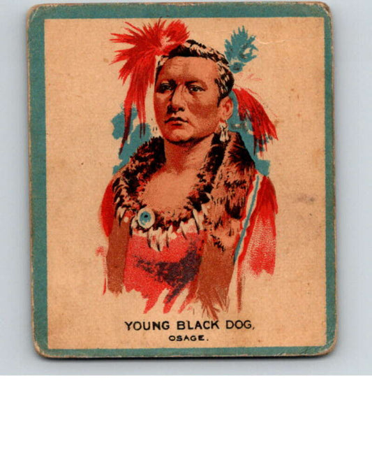 1934 Papoose Gum Series V254 #16 Young Black Dog  V74255 Image 1