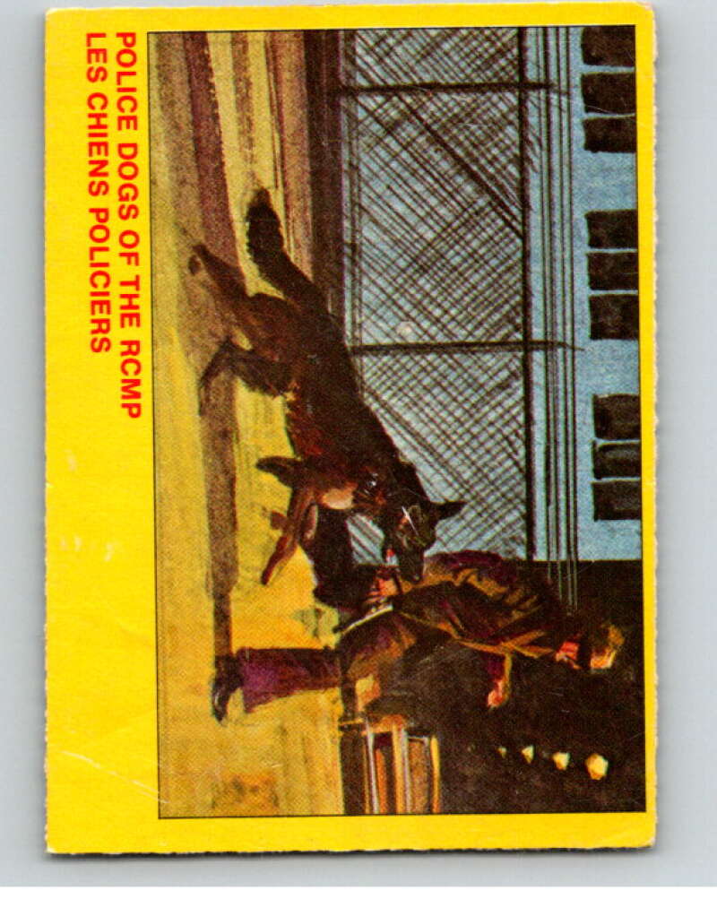 1973 Canadian Mounted Police Centennial #37 Police Dogs of the RCMP V74310 Image 1