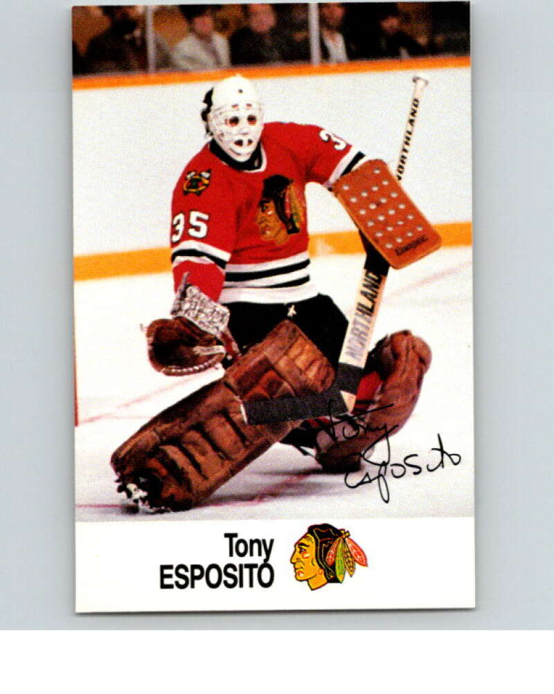 1988-89 Esso All-Stars Hockey Card Tony Esposito V75162 Image 1