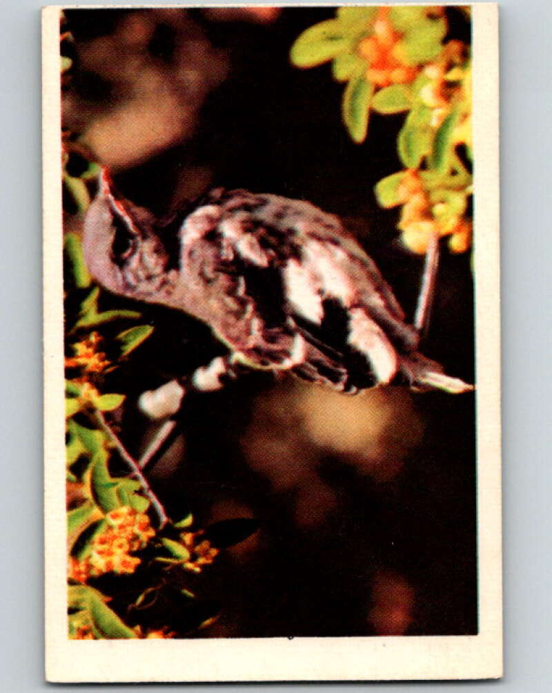 1950 Colorgraphic Birds #1 Mockingbird V78508 Image 1