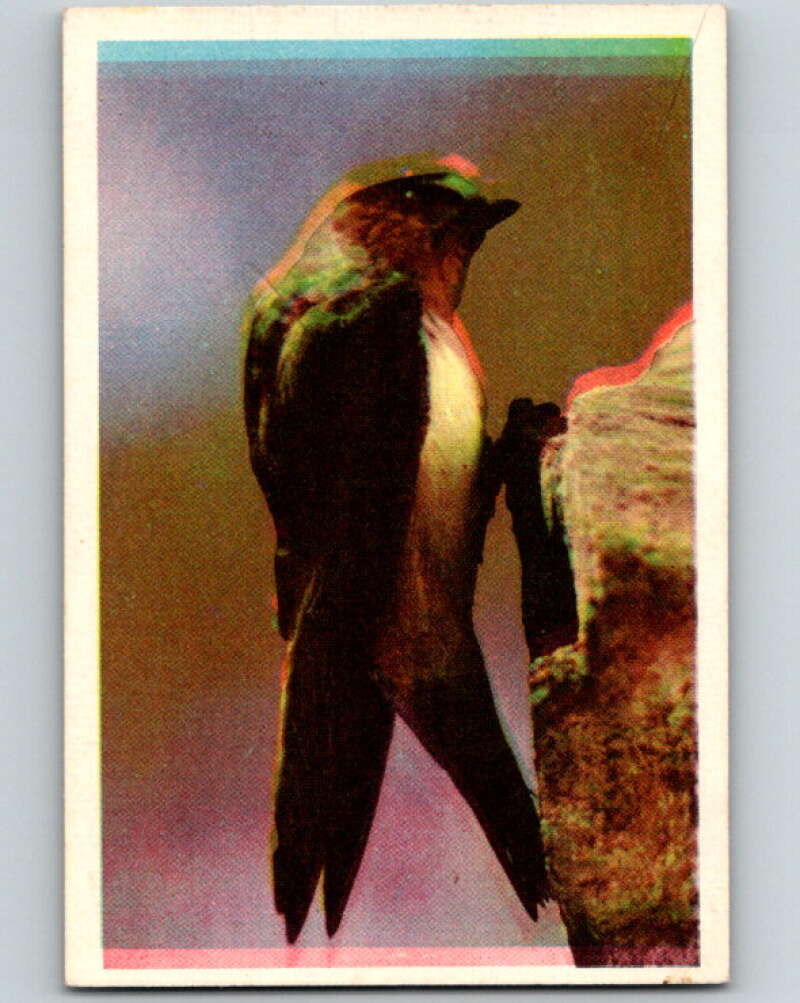 1950 Colorgraphic Birds #16 Cliff Swallow V78549 Image 1