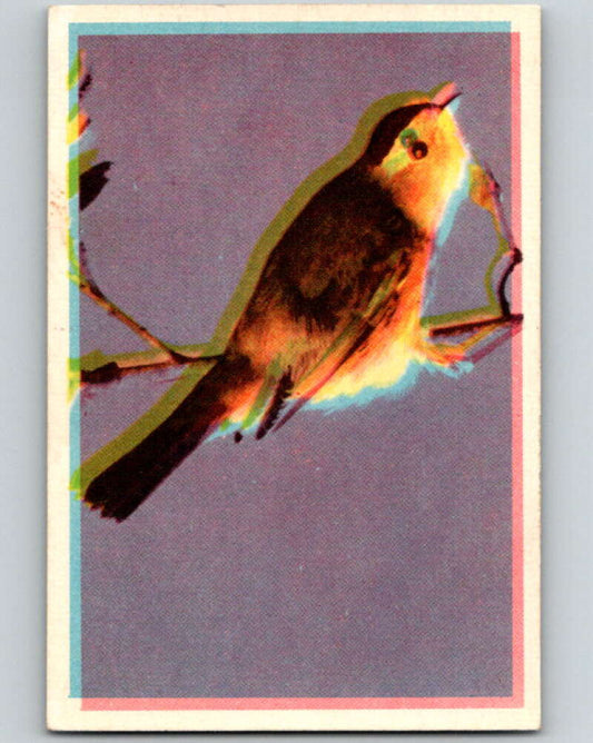 1950 Colorgraphic Birds #24 Pileolated Warbler  V78569 Image 1
