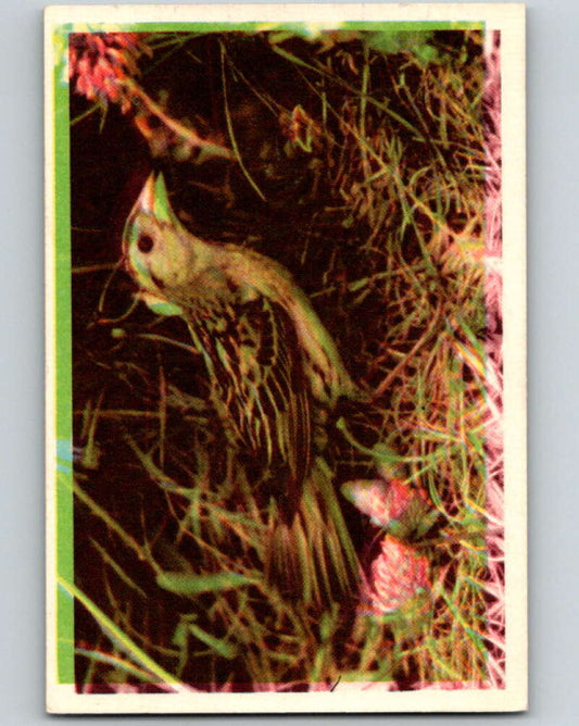 1950 Colorgraphic Birds #34 Bobolink  V78594 Image 1