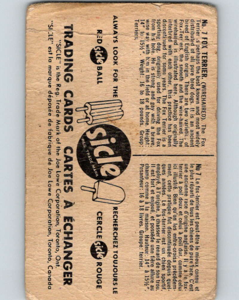 1959 Sicle Dogs #7 Fox Terrier V78622 Image 2