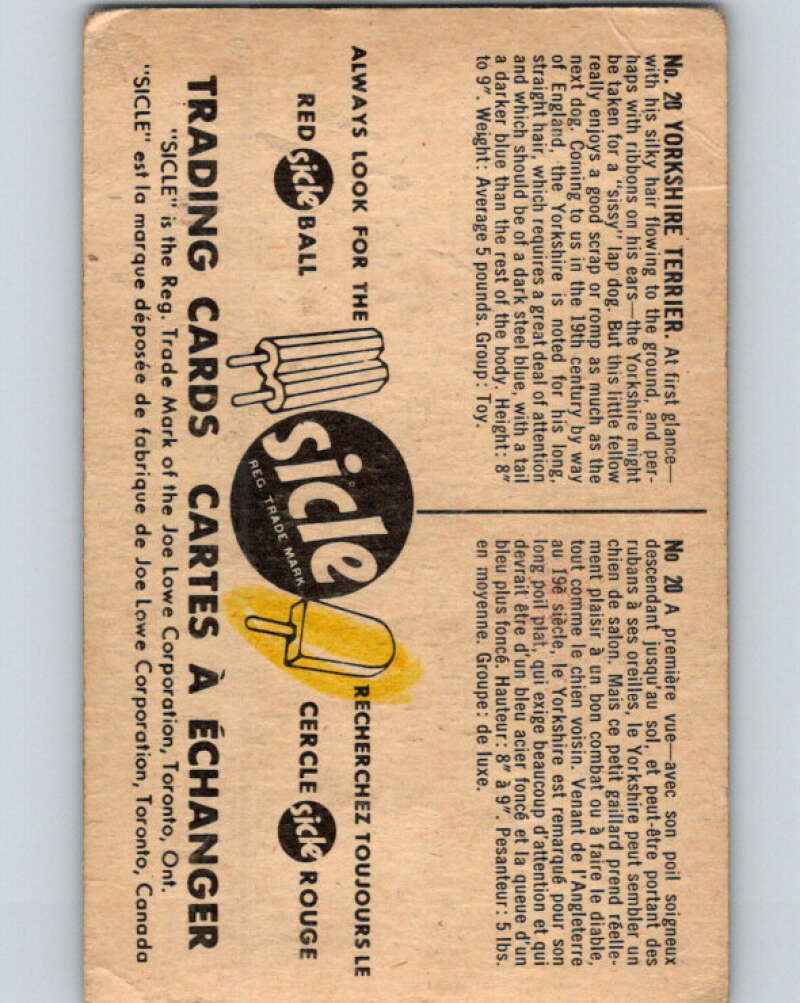 1959 Sicle Dogs #20 Yorkshire Terrier V78624 Image 2